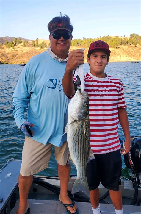 castaic lake fishing|Jim Taibi's 661 FISHING .